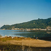 Click for larger view